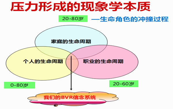 上海国际医学园区《压力管理和阳光心态》课程圆满结束！